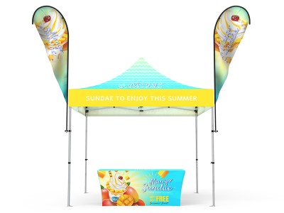 Pop-up Canopy 10x10ft Custom Package 13