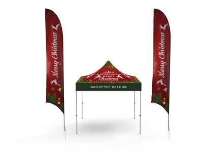 Pop-up Canopy 10x10ft Custom Package 17