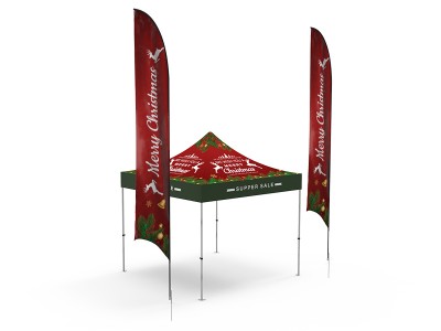 Pop-up Canopy 10x10ft Custom Package 17